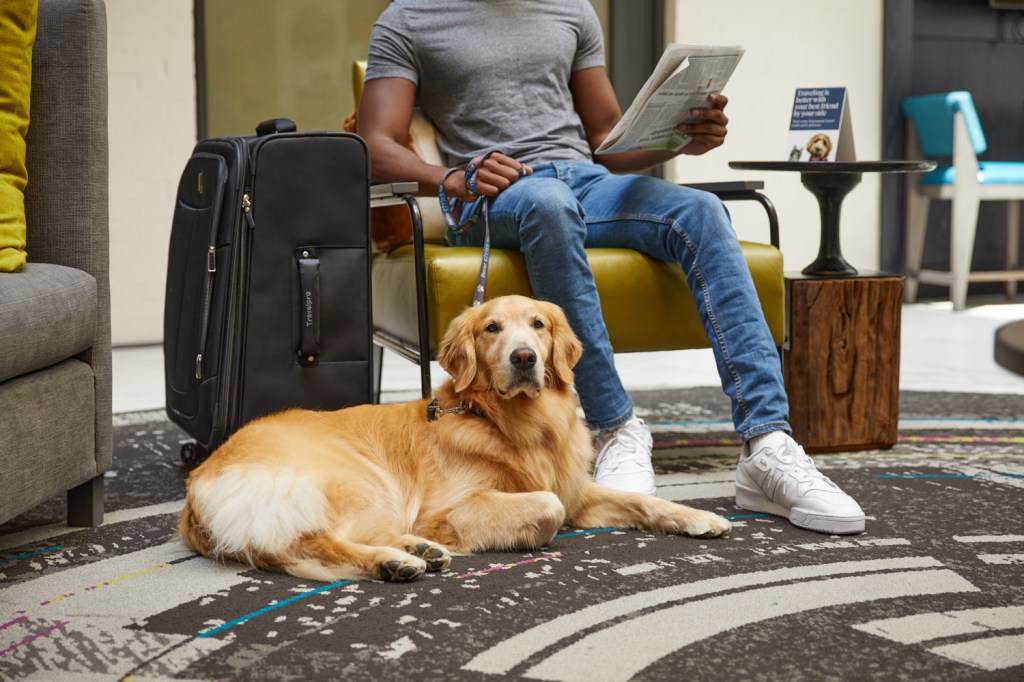 Guest reads newspaper and sits with dog in lobby